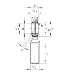 桿端軸承 GAL12-DO, 根據(jù) DIN ISO 12 240-4 標準，帶左旋外螺紋，需維護